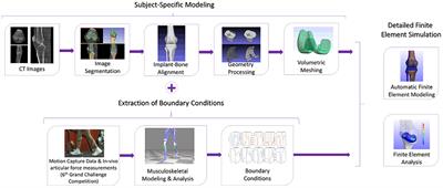 Total Knee Replacement: Subject-Specific Modeling, Finite Element Analysis, and Evaluation of Dynamic Activities